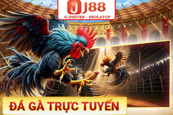 Đá gà J88